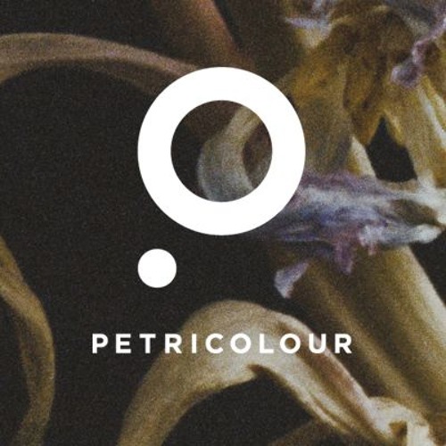 Petricolour’s avatar