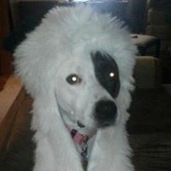 Jennifer B VonIngelheim