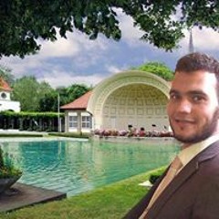 محمد الرمادى