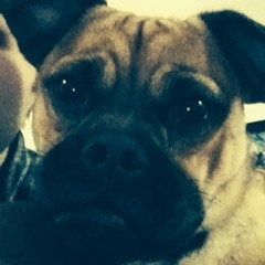 Hank & The Rolling Bones