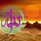 كريم كشك