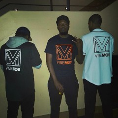 VIBEMOB