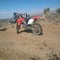 Brandon Lyons