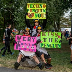 The Techno Penguins