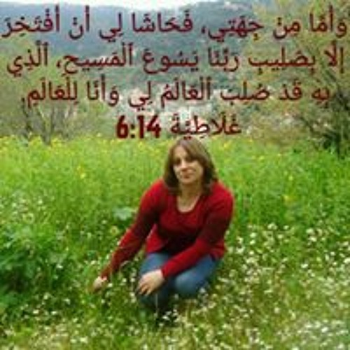 Lamyaa Yonan’s avatar