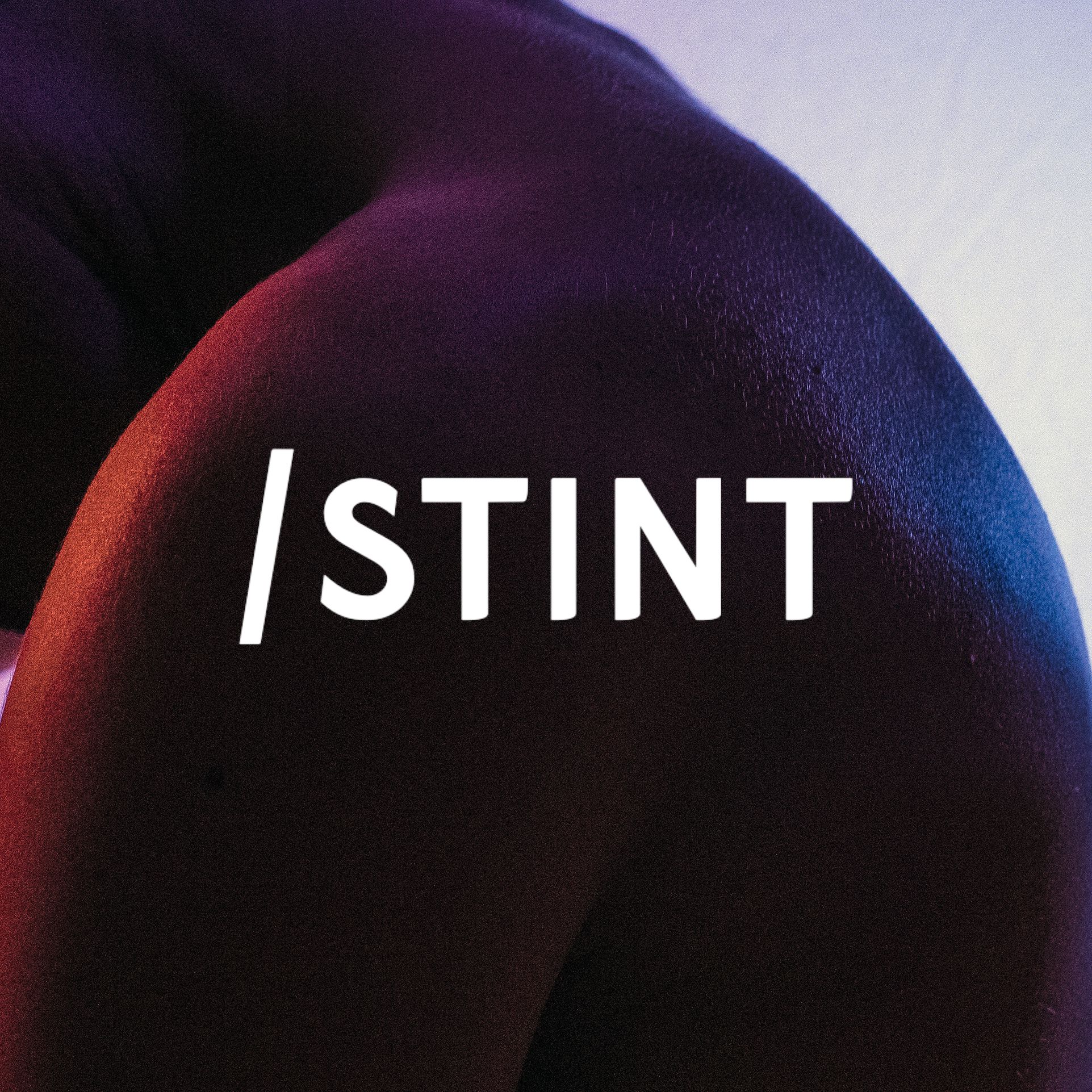 STINT