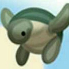 Turtlequeen1622