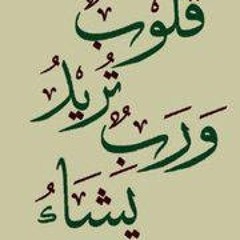 taher taher