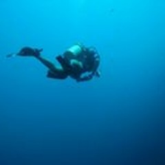 Leo Alexander Sillence