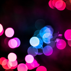 Monik Atelier floral