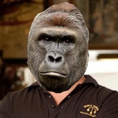 Audio Recording on Friday afternoon