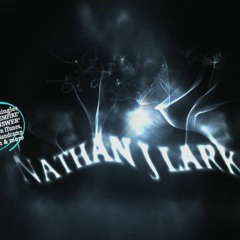NATHAN J LARK