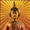 Trippy Buddha