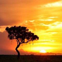 Dubbz Afrikue' Projek