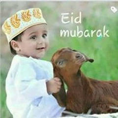 Faisal Zohaib