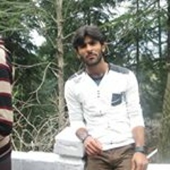 Rizwan Tiger