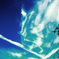 Shikei Hematuria S Stream