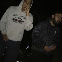 grizzly.818