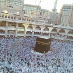 Gehad Adel