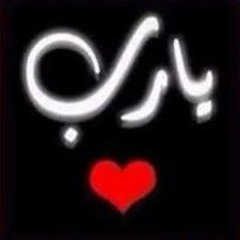 Mostafa M MoKhtar