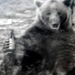 General Вениамин Kowalski