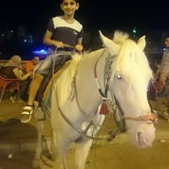 Mona Mostafa