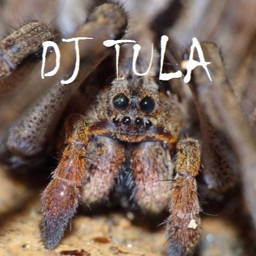 DJ TULA’s avatar