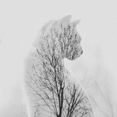 CloudyMaze