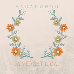 Vagabundosoy