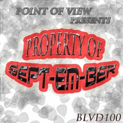 point of view blvd100