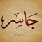 Mohamed Hanafy