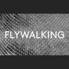 flywalking
