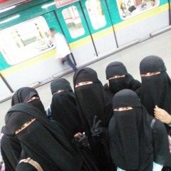 DiNa M. Ahmed