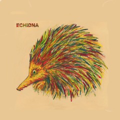 Echidna