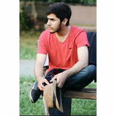 Muhammad Hamza Minhas
