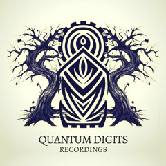 Quantum Digits records