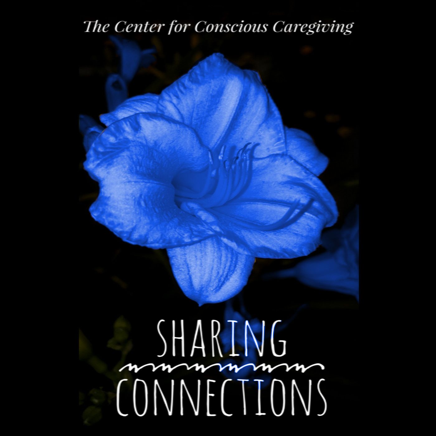 Sharing Connections