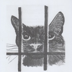 Dj Filthy Cat