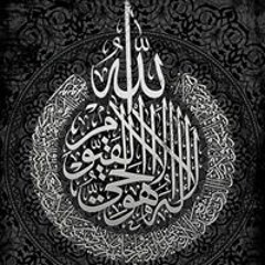 Saly Ck