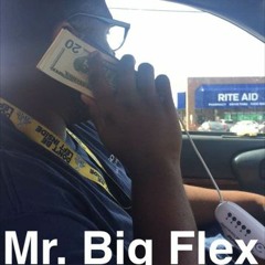 Mr. Big Flex