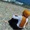 حلم العمر