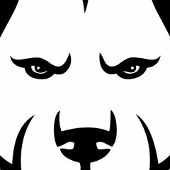 Bully Pitbulls | Music Network