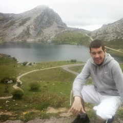 carlos navarro llorente