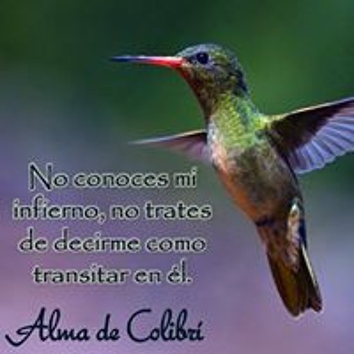 Stream Alma de Colibrí music | Listen to songs, albums, playlists for free  on SoundCloud