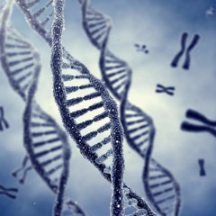 GENE
