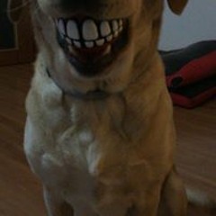 FUTRE é estrela do baile FUNK