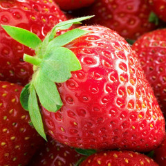 ‫سکوت شب‬‎