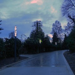 Dave & his Lone Guitar