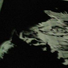 Nightz