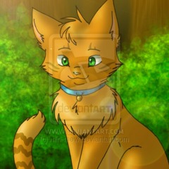 Nightfury02